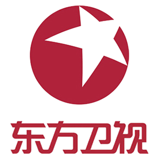 译视达合作客户-东方卫视